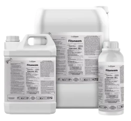 Fitoneem — óleo de neem