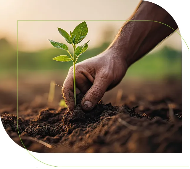 AgroForte — equipe e tecnologia